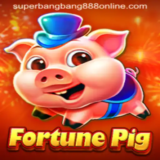FortunePig: Discovering the Dynamics of Superbangbang888